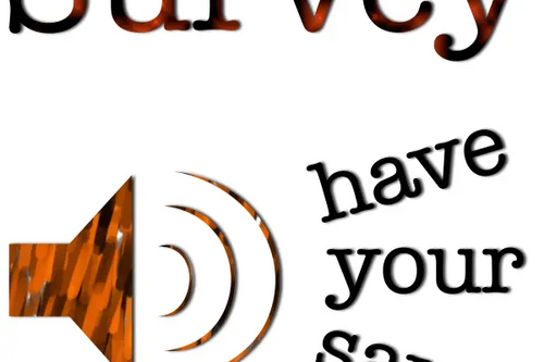 Survey logo