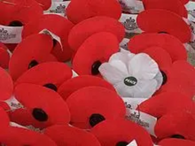 Image courtesy of wiki images Poppies