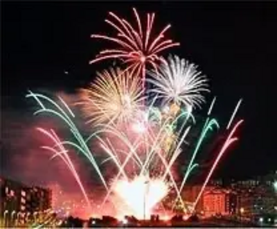 Image courtesy of New Year - Wikipediaen.wikipedia.org {{subst:Happy New Year fireworks (static)}}