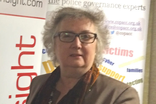 Helen Korfanty attending a workshop at CoPaCC